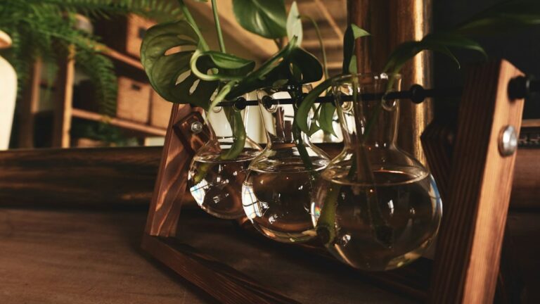 Winter Indoor Houseplant Dormancy: Photoperiod Reductions, Cold Drafts, and Dry Air Care winter houseplant dormancy cold draft