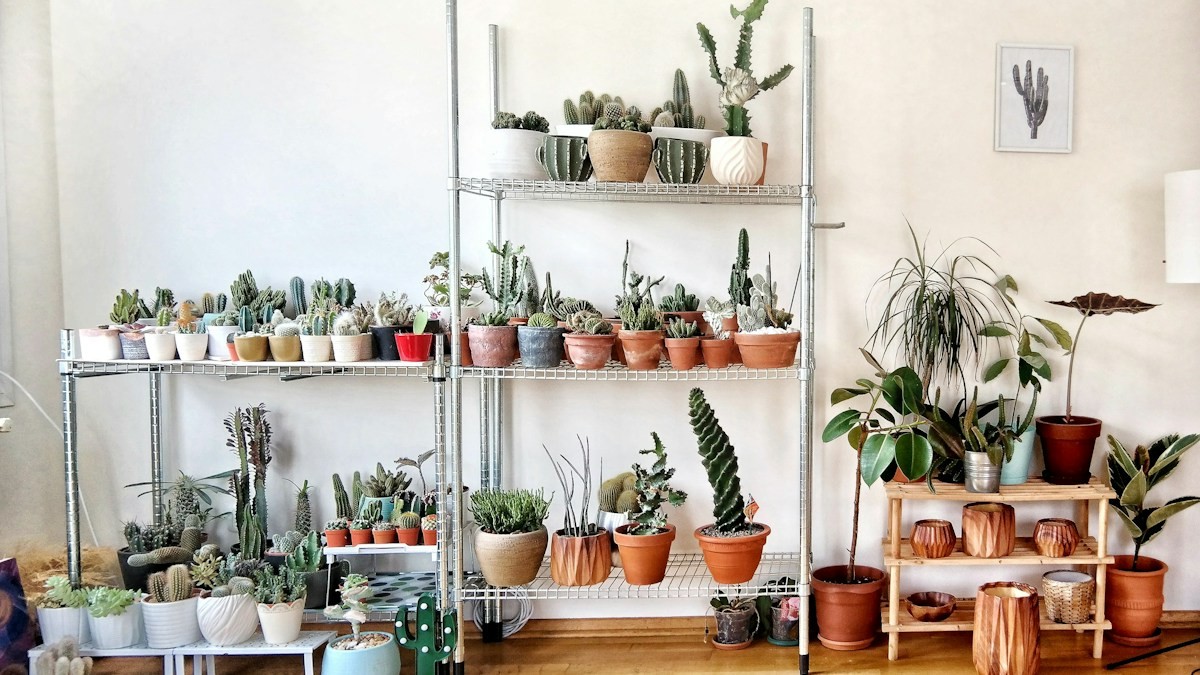bottom watering houseplants capillary - Detailed step-by-step practical implementation overview