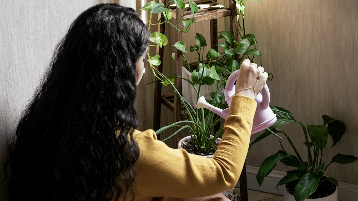 Natural Propagation Boosters Tested - Detailed step-by-step practical implementation overview