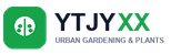 About YTJYXX
